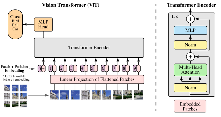 [ViT] An Image is Worth 16×16 Words: Transformers for Image Recognition at Scale
